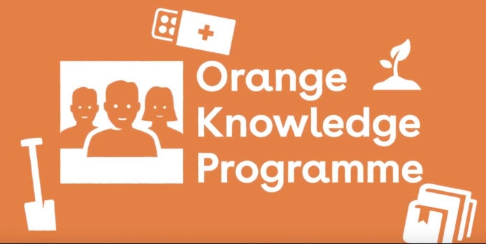 orange_knowledge_programme