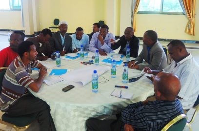 TMT_LED Ethiopia_2015_CR_group work_men_Africa copy