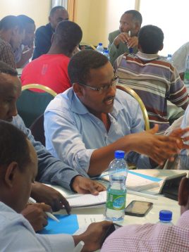 TMT_LED Ethiopia_2015_CR_participant talking_men_Africa copy 2