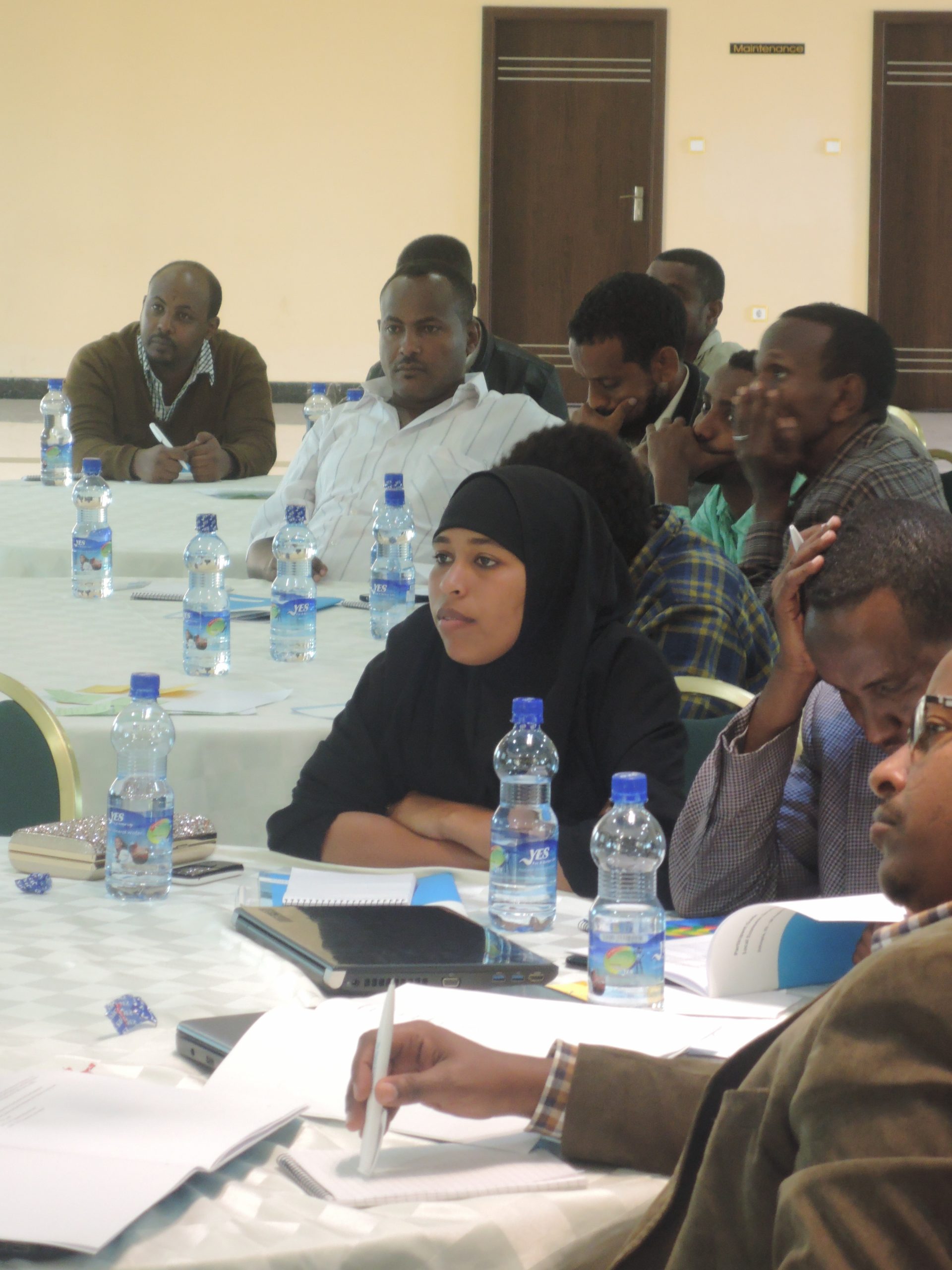 TMT_LED Ethiopia_2015_CR_participants listening_women_Africa TMT_LED Ethiopia_2015_CR_participants listening_women_Africa