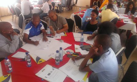 TMT_UNDOP Lesotho_2015_CR_group work_men_women_Africa