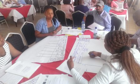 TMT_UNDOP Lesotho_2015_CR_group work_women_Africa