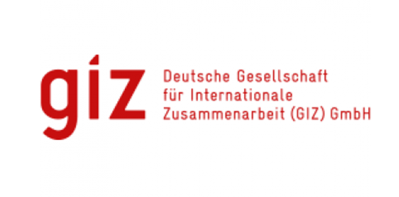 GIZ logo website