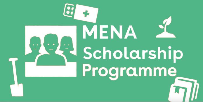 MSP programme