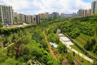 park-4229872_1280