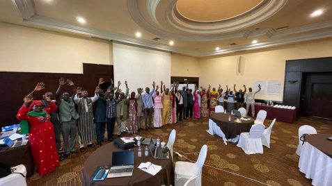 SDLG Mali mixed group with arms up