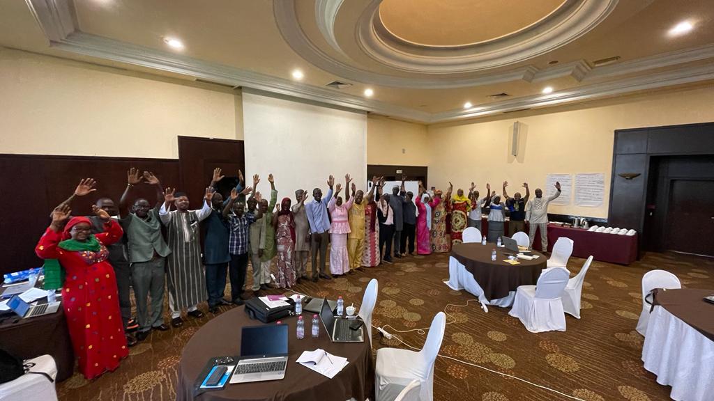 SDLG Mali mixed group with arms up