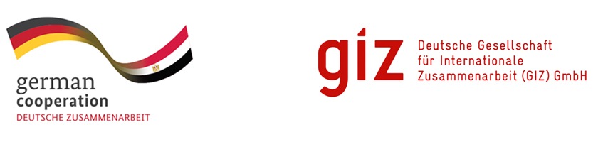 about_giz about_giz