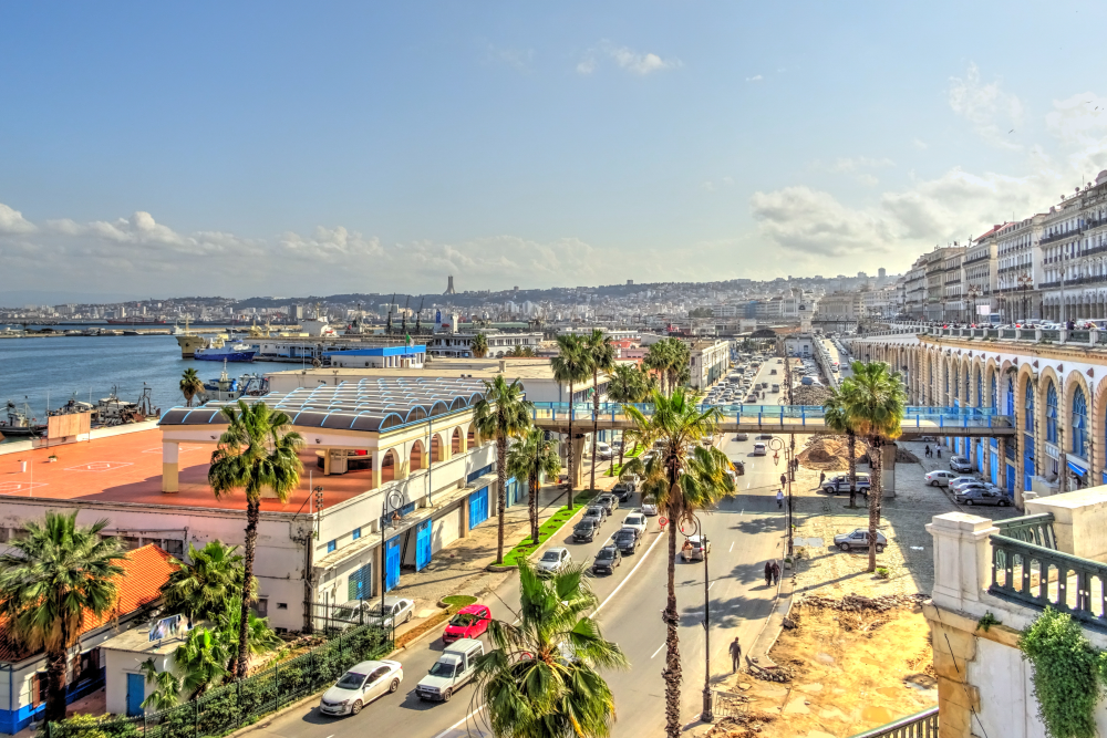 Algiers Export Canva
